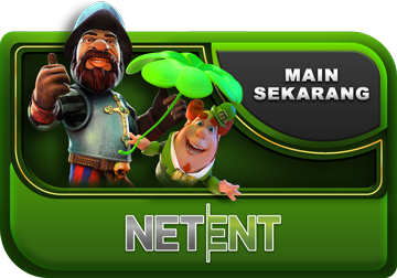 Net Ent